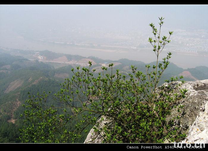 PL600山顶收听报告