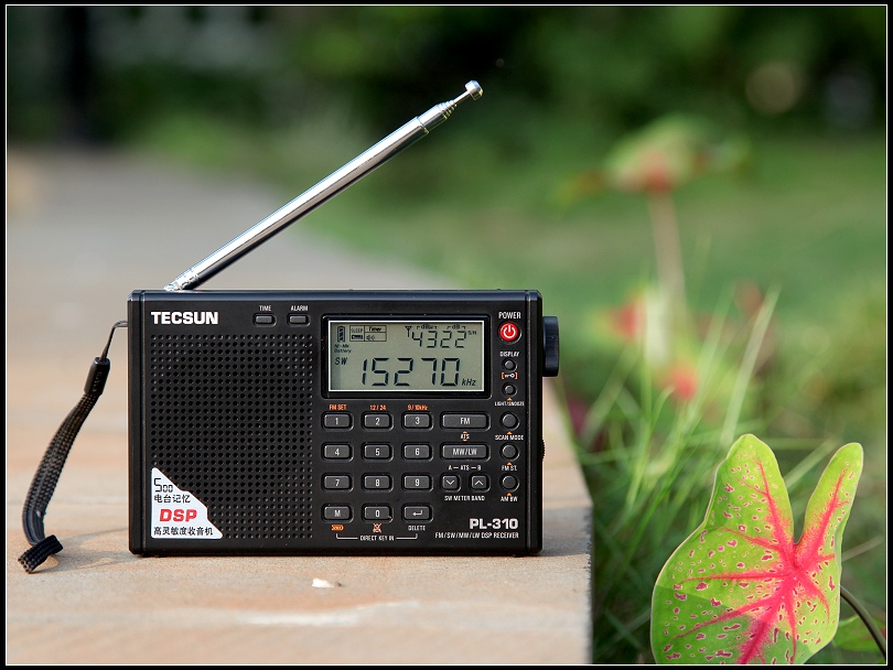 TECSUN PL-310评价 之 废话少说版