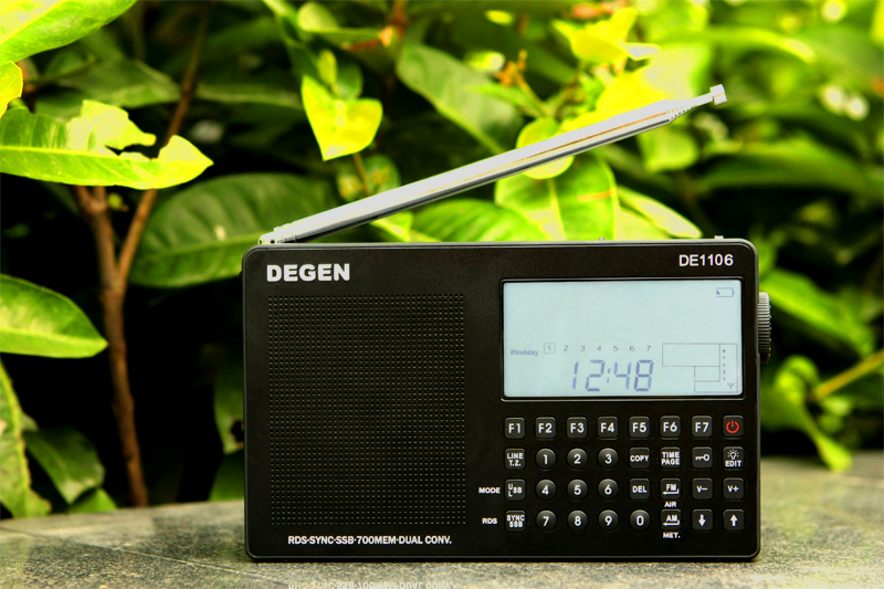 DE1106：尔本凡胎，终会从云端跌落