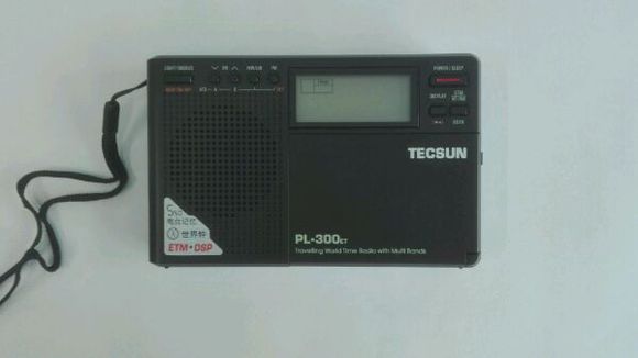 德生PL-300ET短评