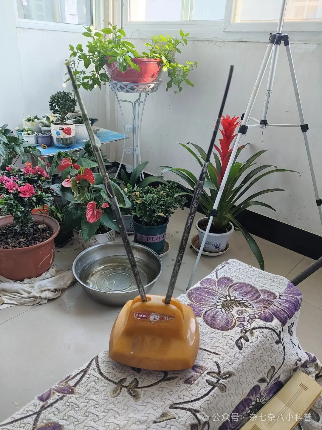 《最简调频收音机，只有两个零件》后续，重搭+视频+原理探讨