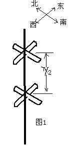 fstx1.gif (1450 字节)