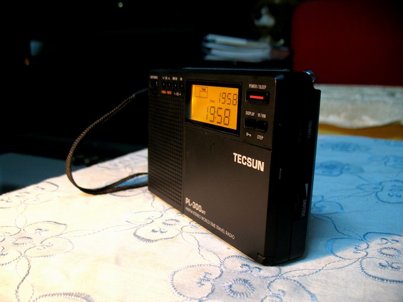 谈谈PL300wt