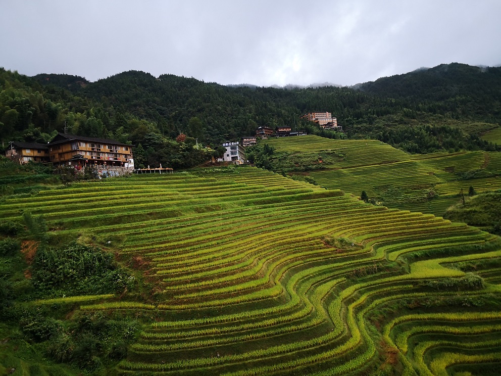 带着德生PL-330旅游广西桂林龙脊金坑红瑶梯田