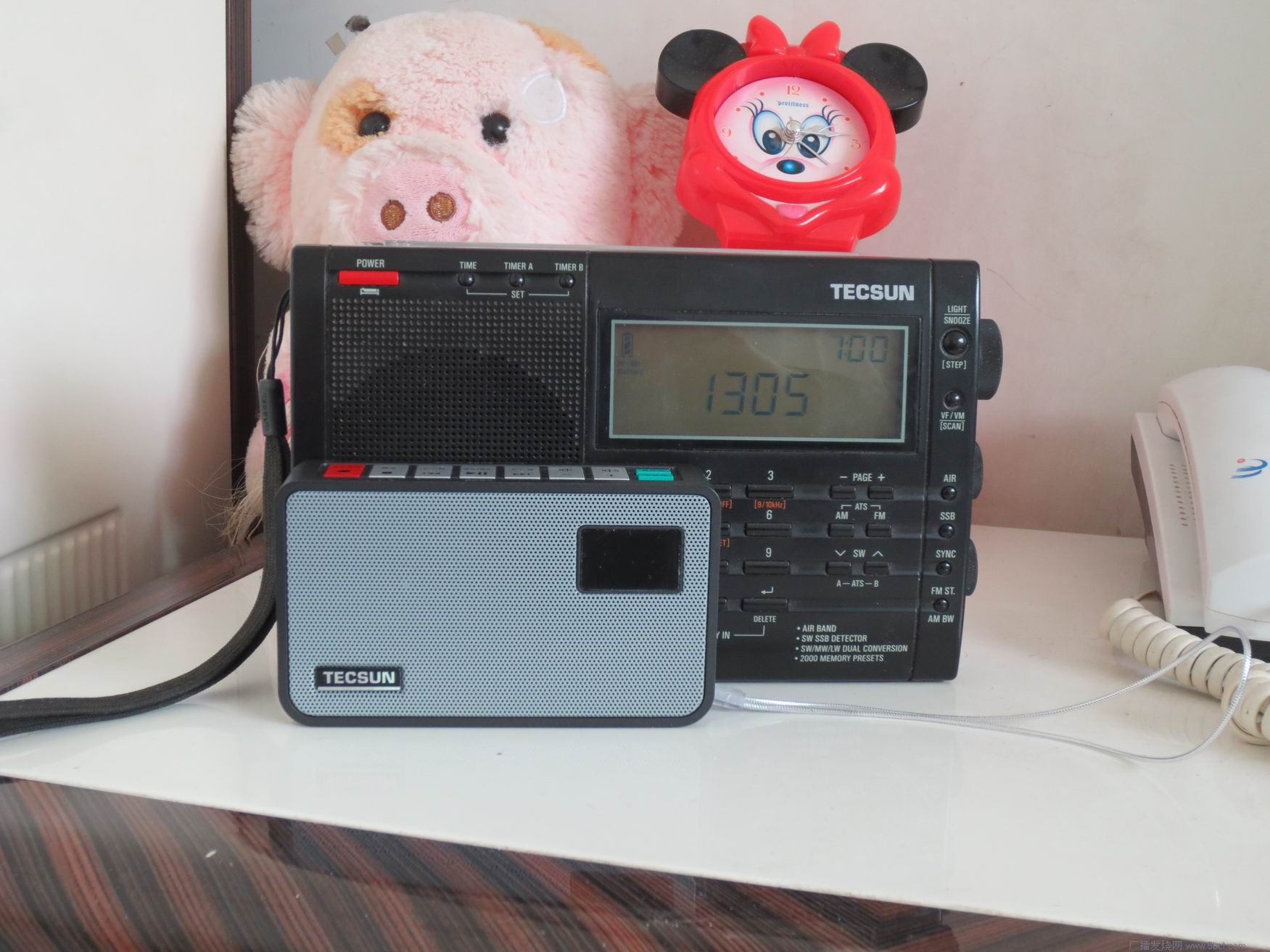 德生数码插卡播放器ICR100